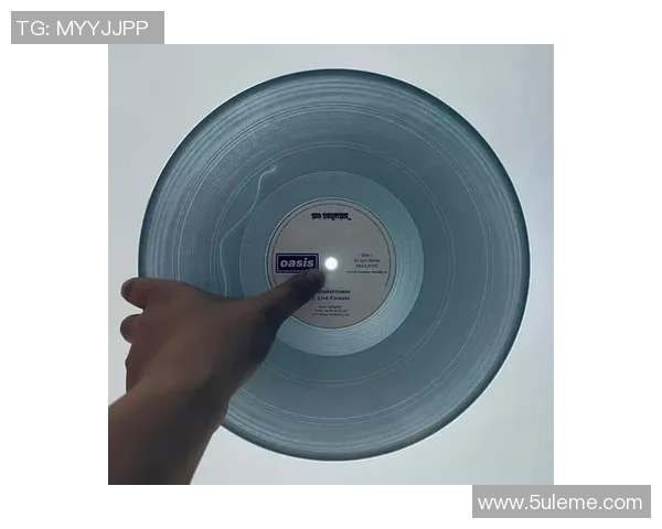 史蒂夫克拉克的音乐传奇与影响力探讨：从摇滚巨星到文化偶像的转变之路